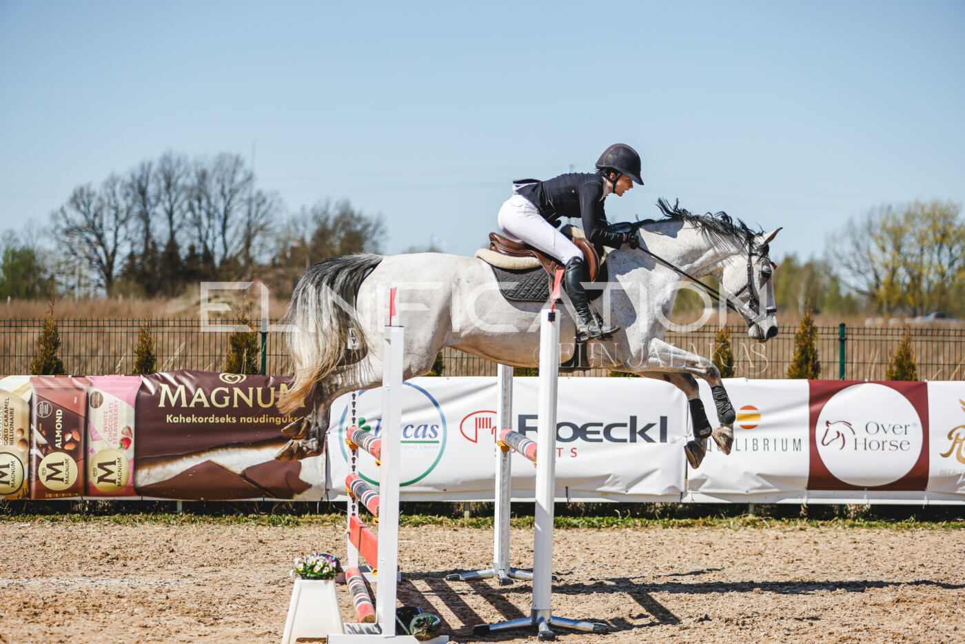 Gramina_Volber_2026_100_0577