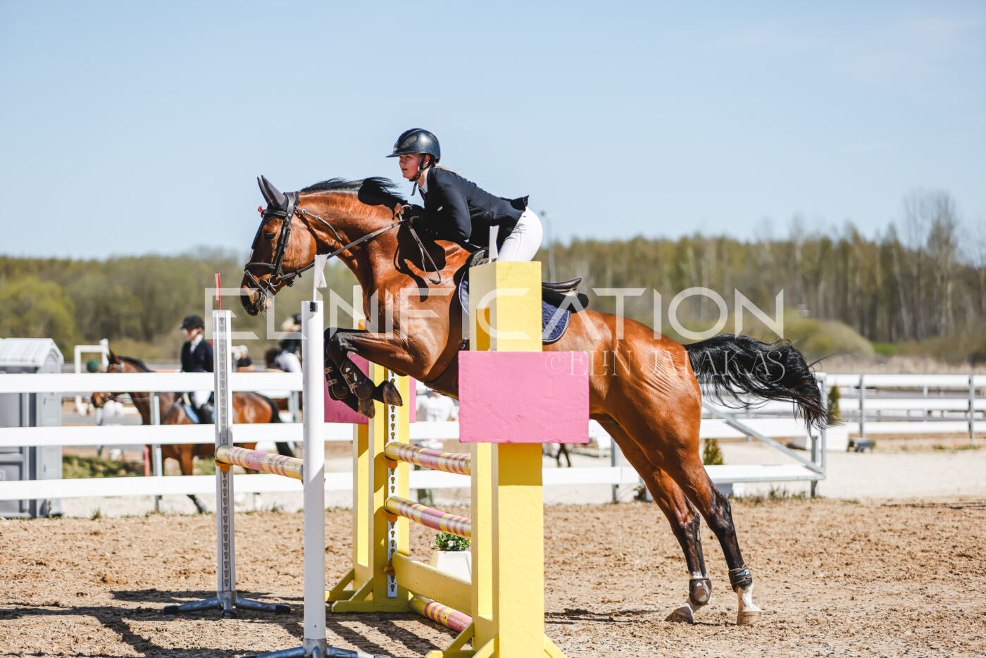 Gramina_Volber_2026_100_0584