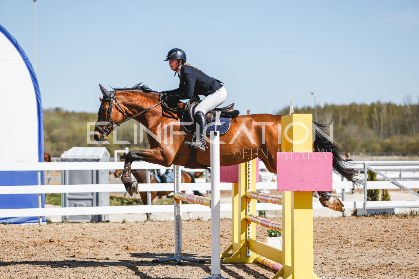 Gramina_Volber_2026_100_0587