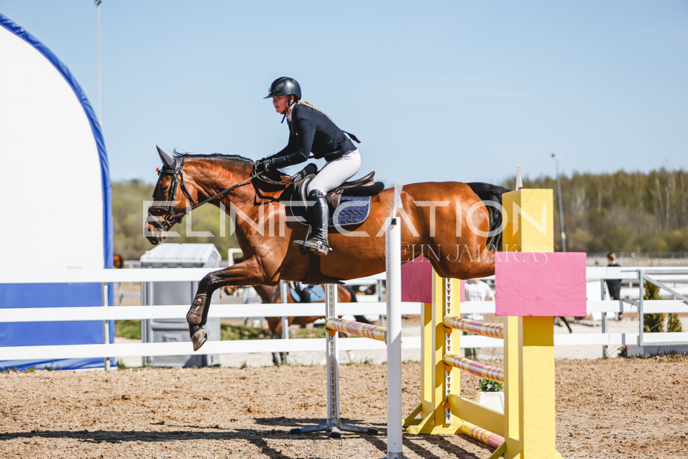 Gramina_Volber_2026_100_0588