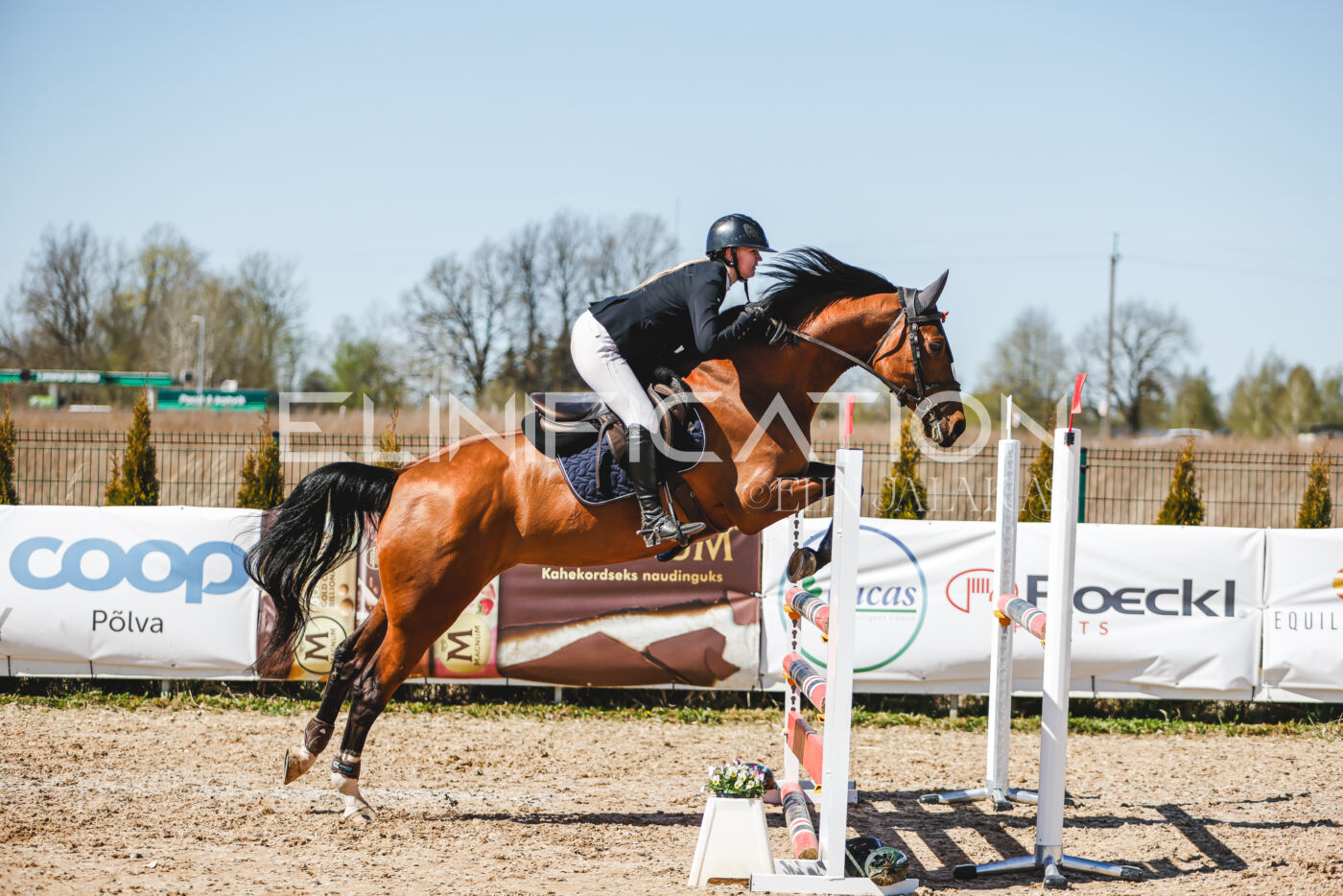 Gramina_Volber_2026_100_0607