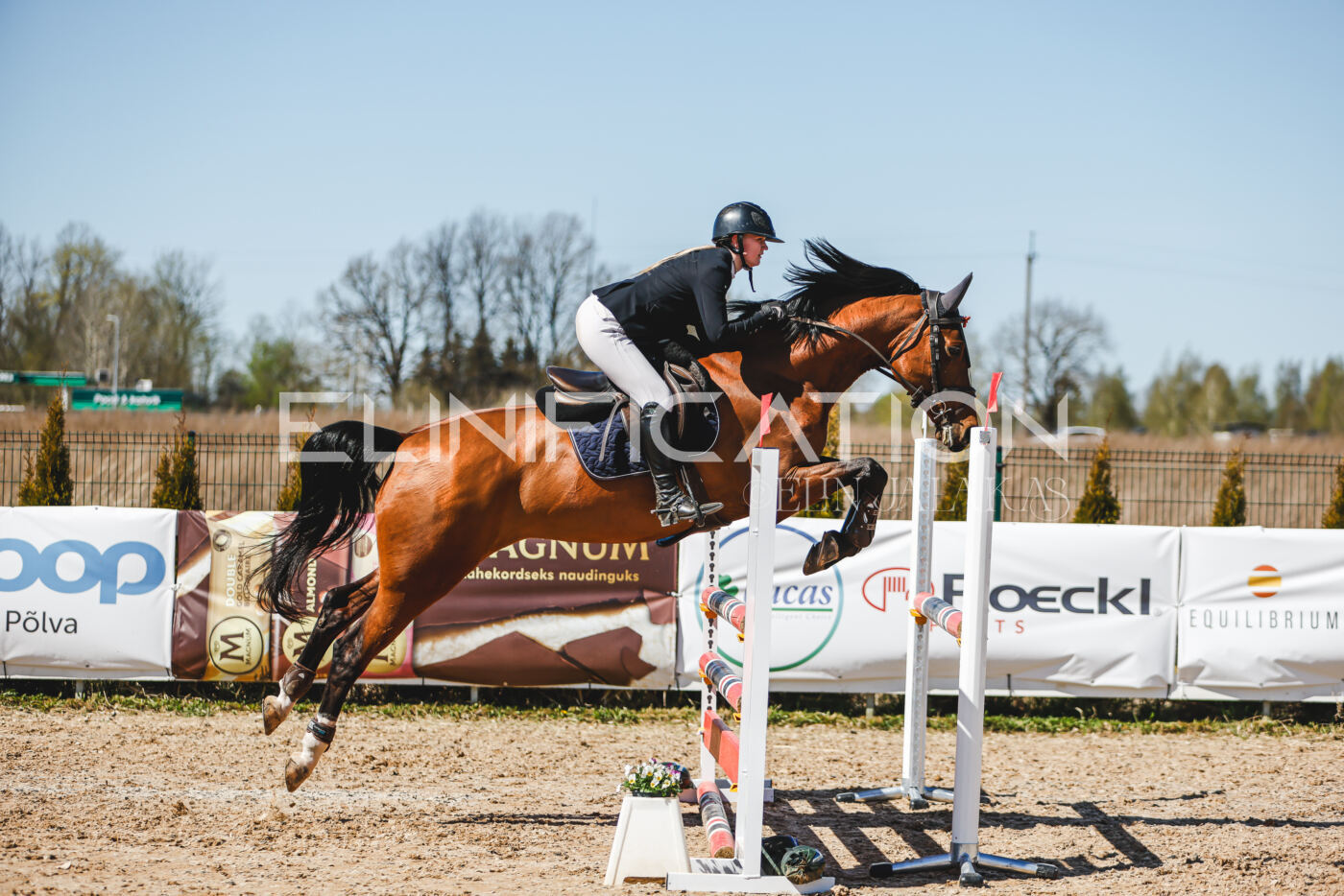 Gramina_Volber_2026_100_0608