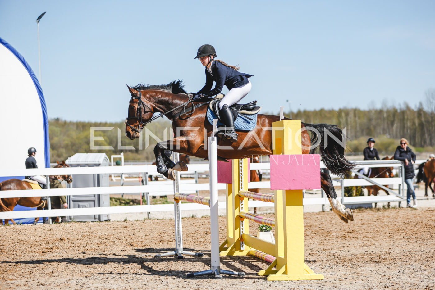 Gramina_Volber_2026_100_0620