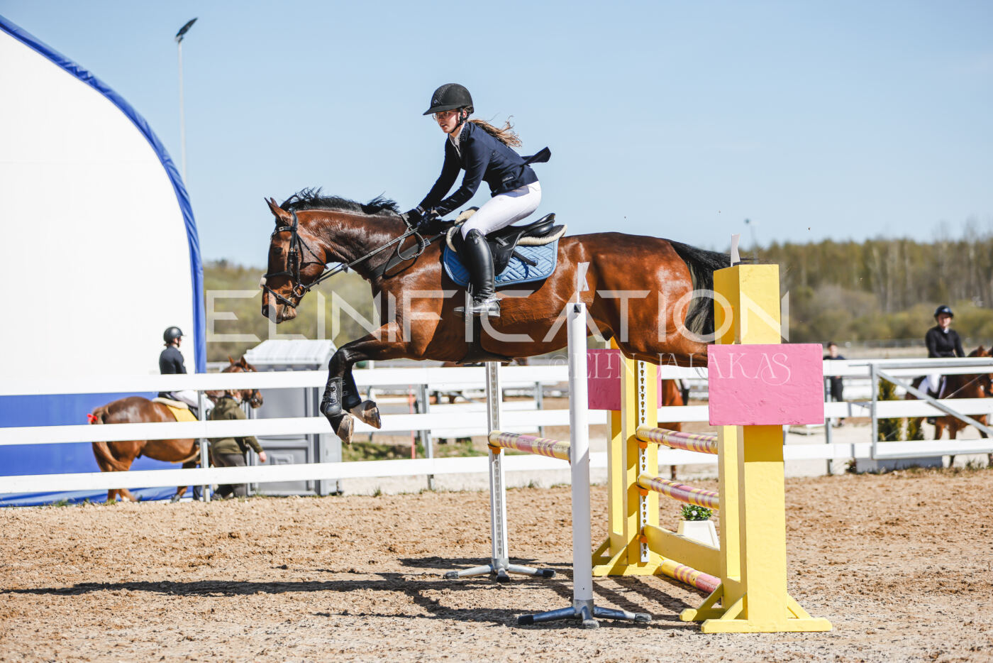 Gramina_Volber_2026_100_0622