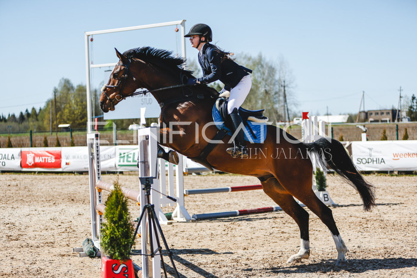 Gramina_Volber_2026_100_0625