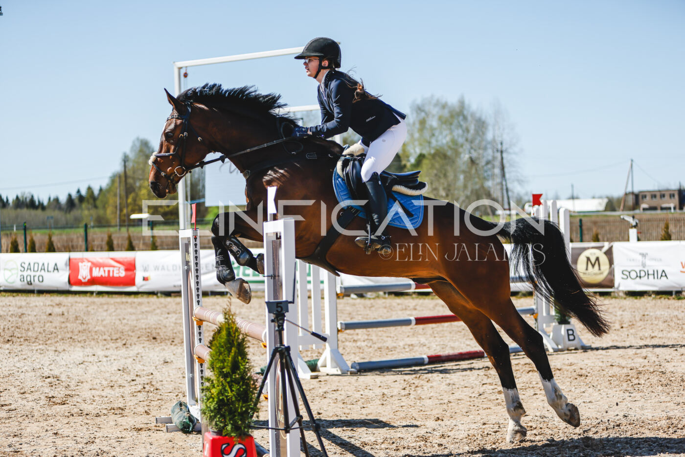 Gramina_Volber_2026_100_0626
