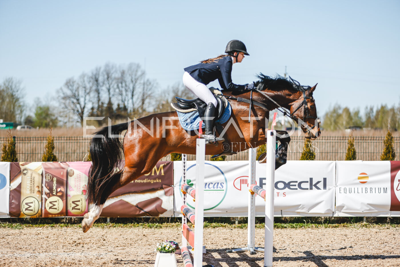 Gramina_Volber_2026_100_0651