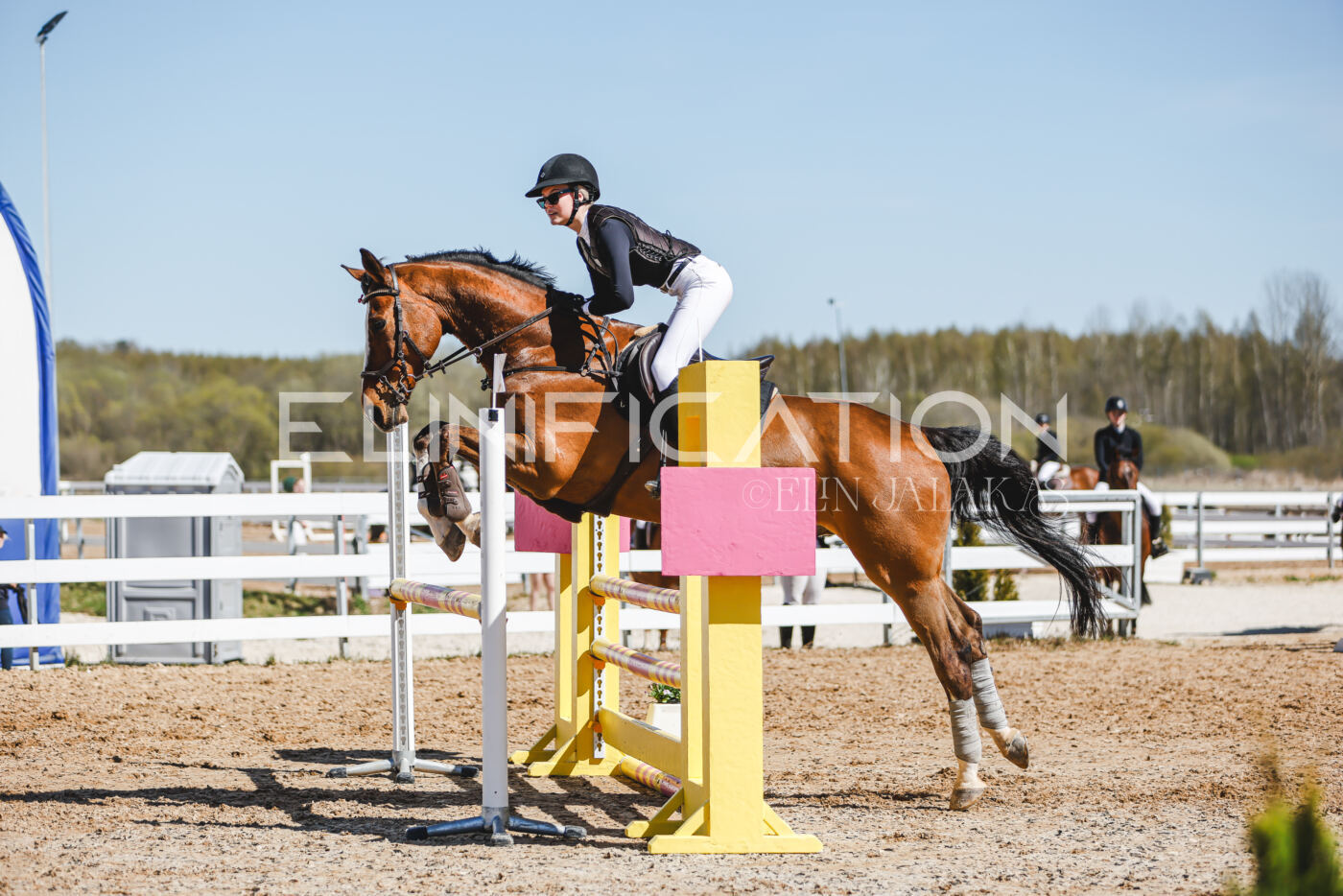 Gramina_Volber_2026_100_0658