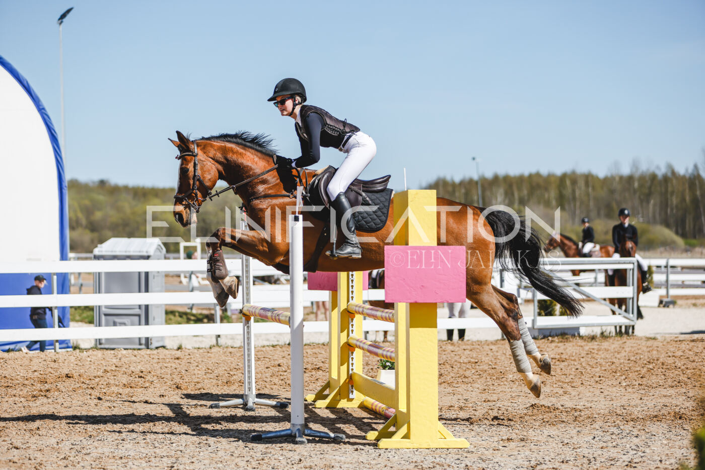 Gramina_Volber_2026_100_0659