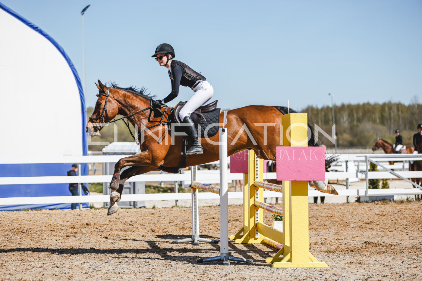 Gramina_Volber_2026_100_0661