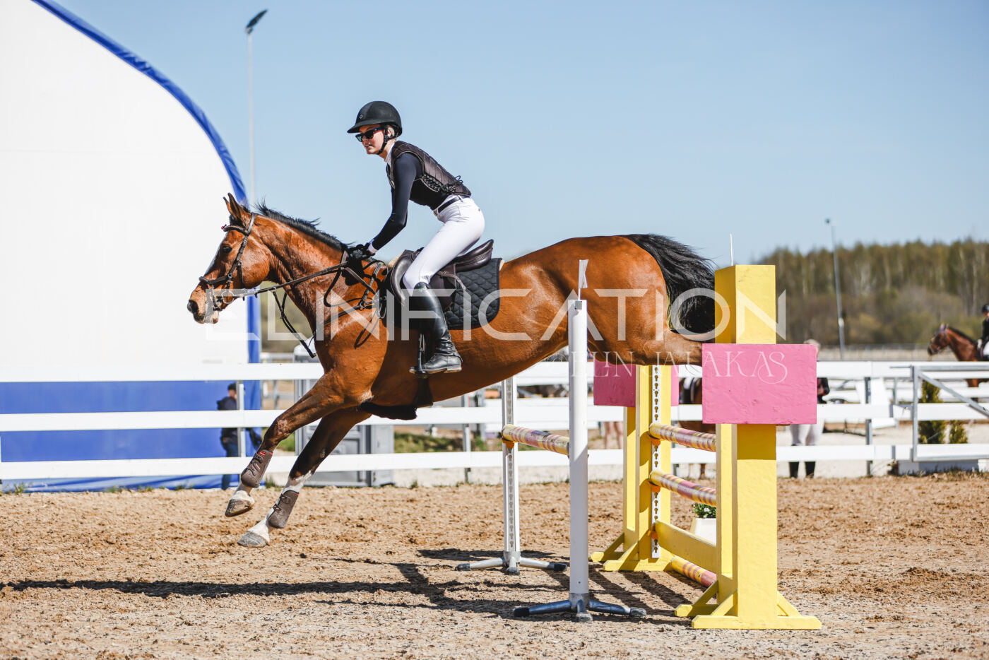 Gramina_Volber_2026_100_0662