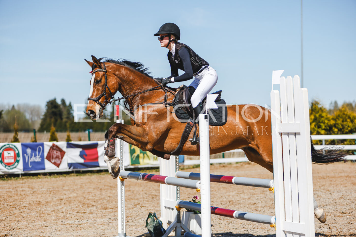 Gramina_Volber_2026_100_0669