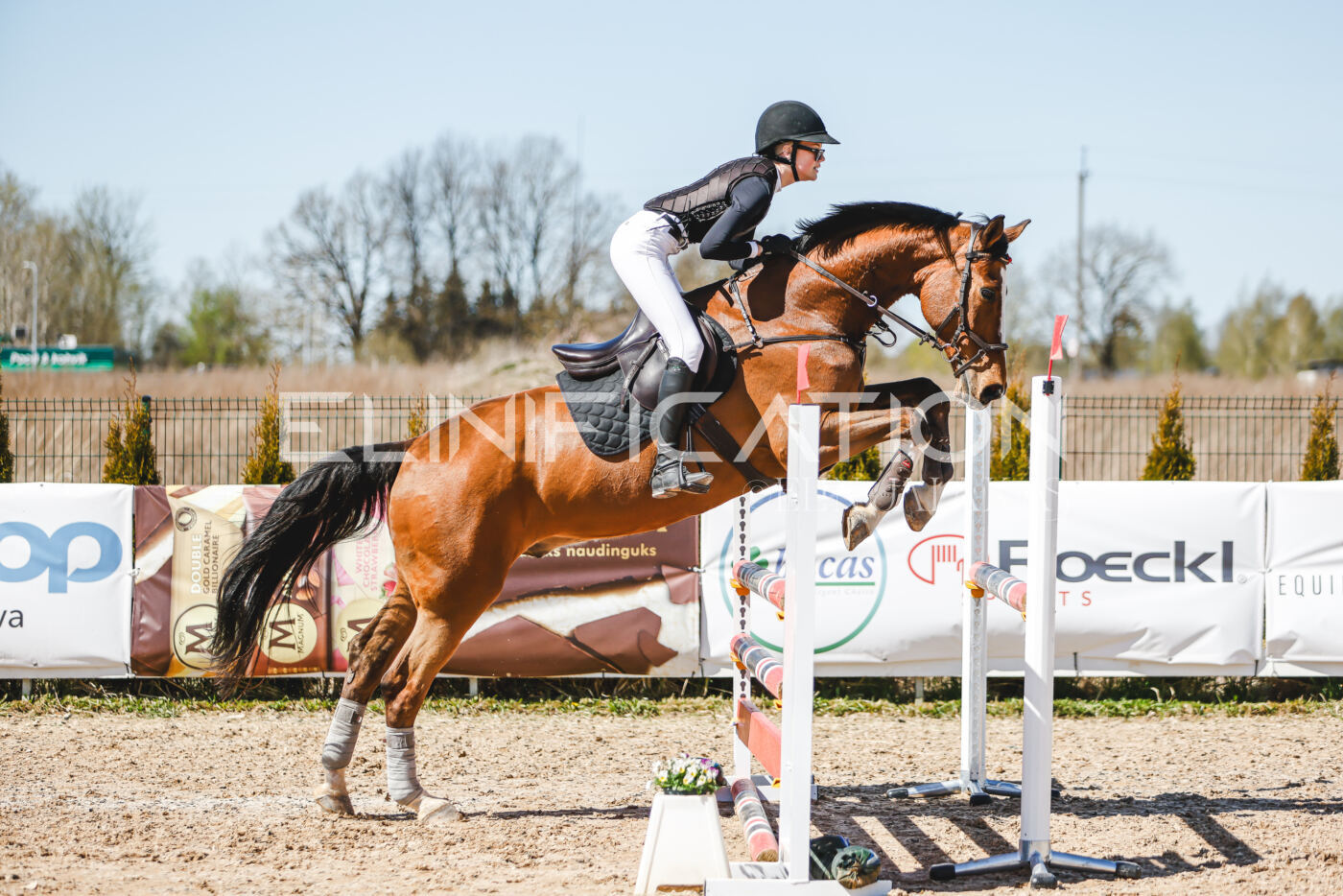 Gramina_Volber_2026_100_0676