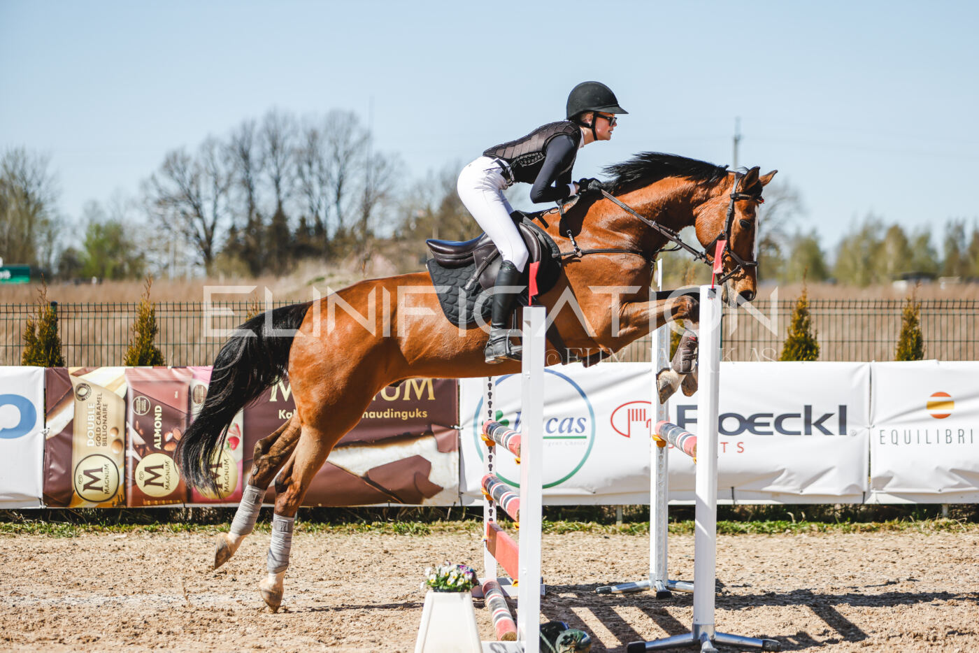 Gramina_Volber_2026_100_0677