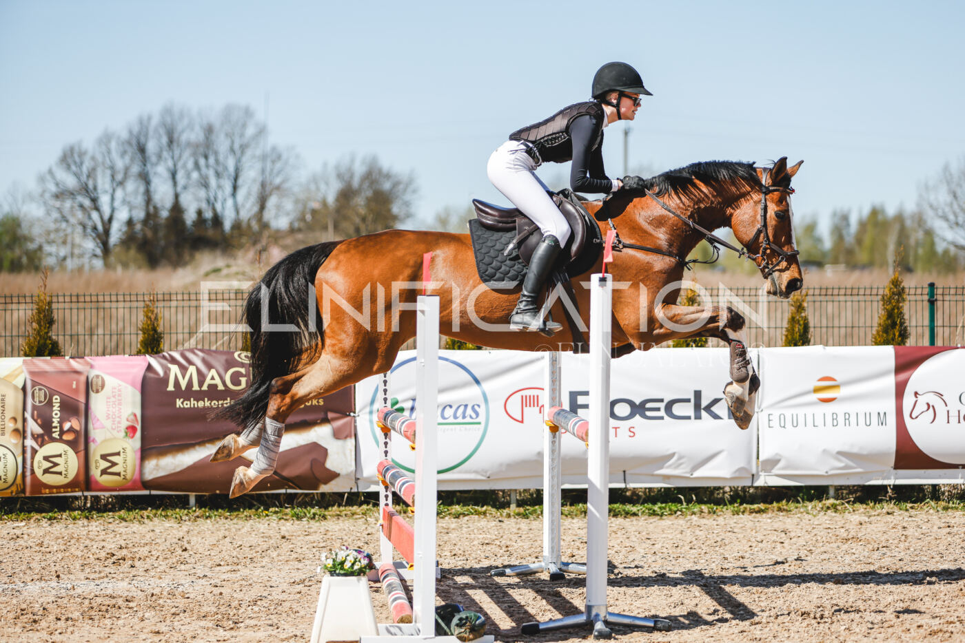 Gramina_Volber_2026_100_0679