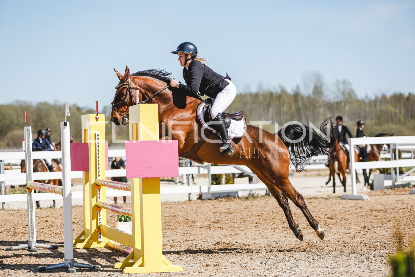 Gramina_Volber_2026_100_0682