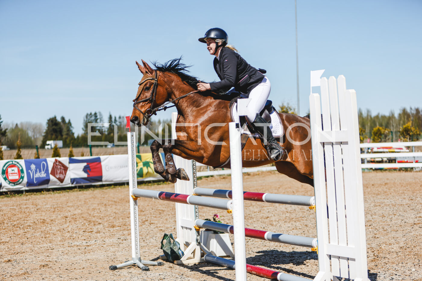 Gramina_Volber_2026_100_0704