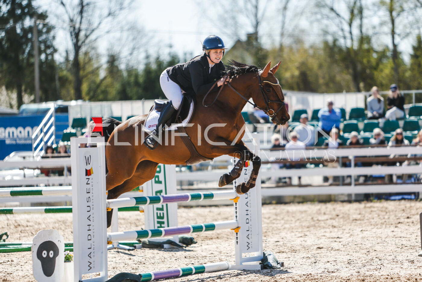 Gramina_Volber_2026_100_0709