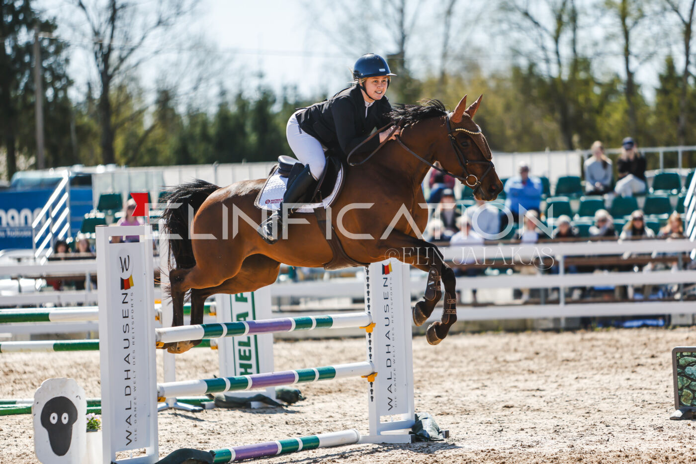 Gramina_Volber_2026_100_0710