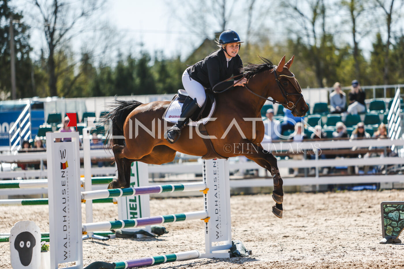 Gramina_Volber_2026_100_0711