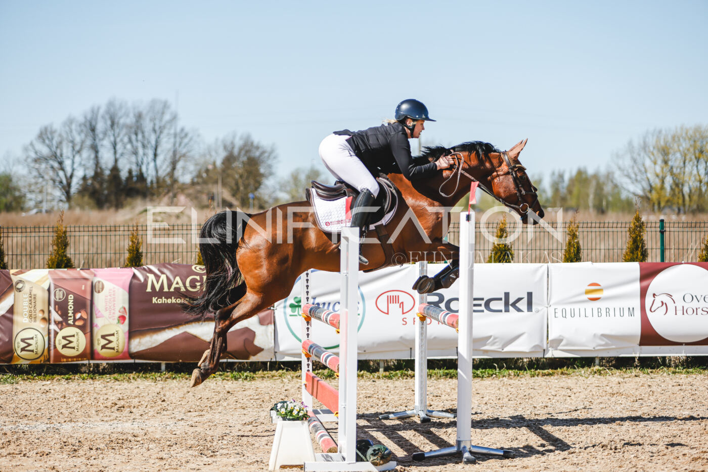 Gramina_Volber_2026_100_0713