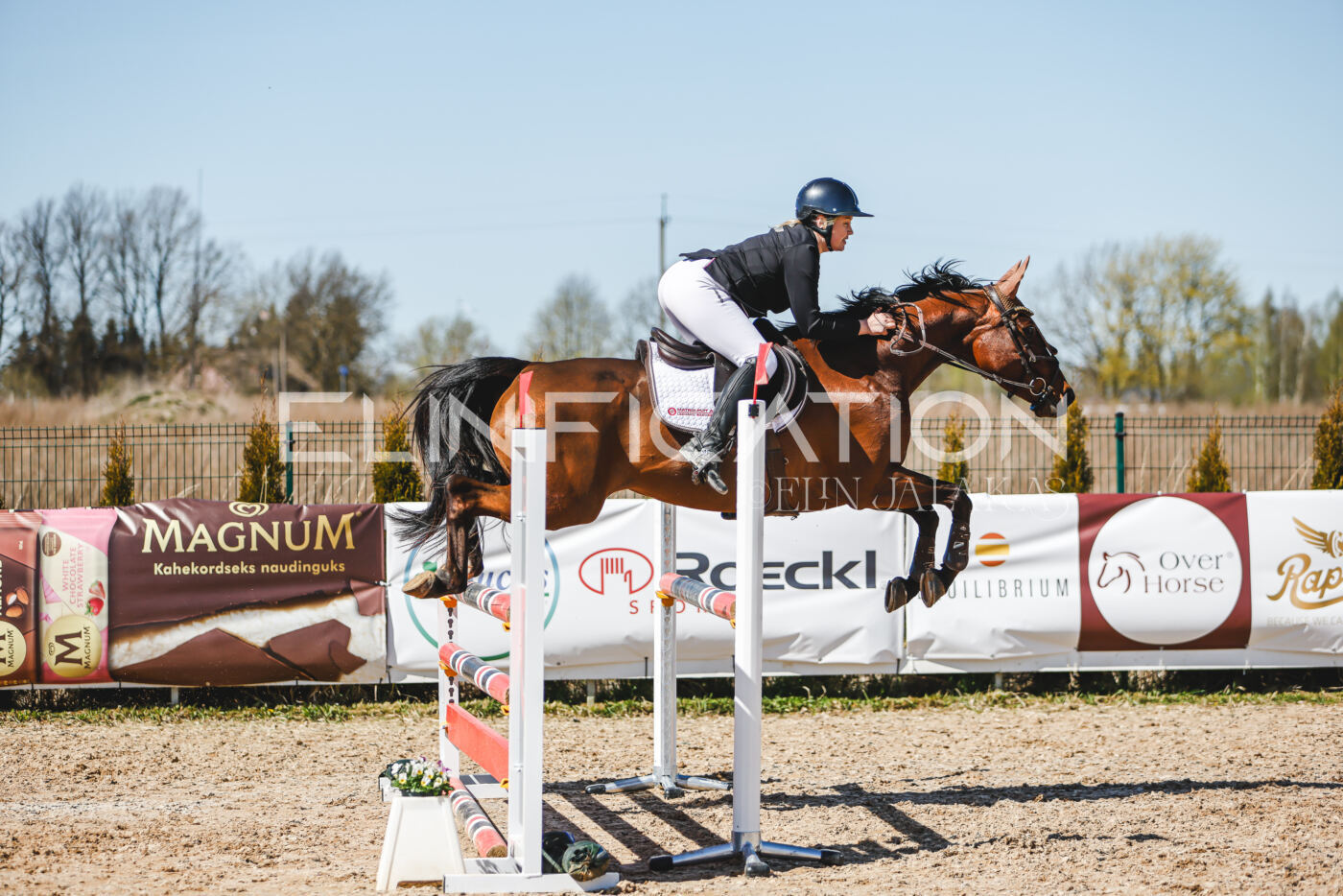 Gramina_Volber_2026_100_0715