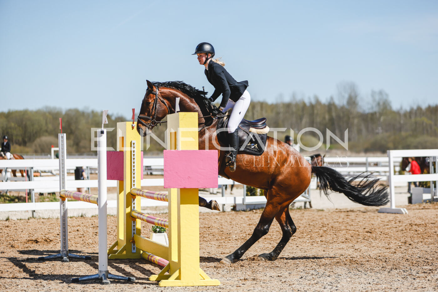Gramina_Volber_2026_100_0724