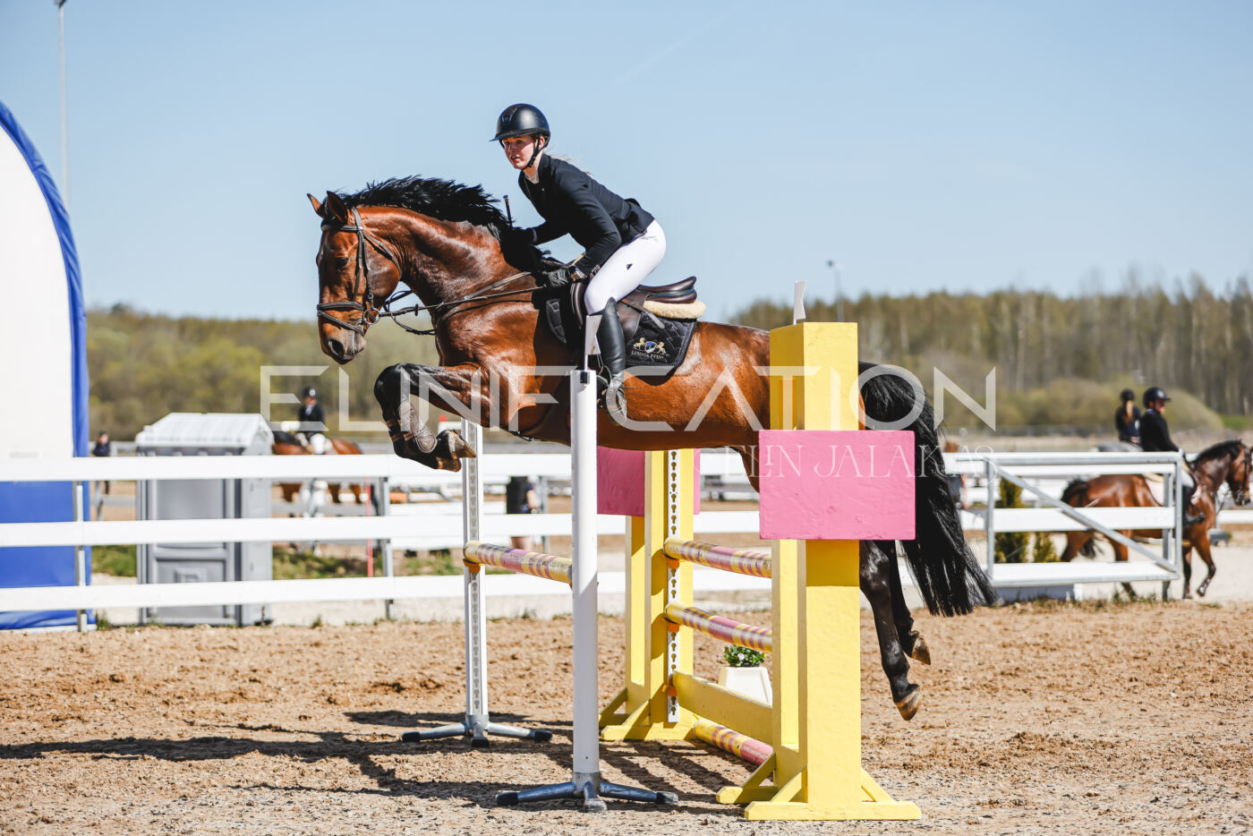 Gramina_Volber_2026_100_0727