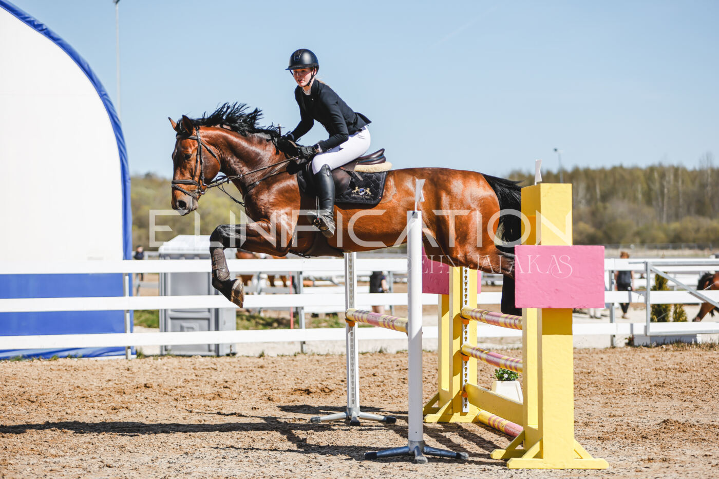 Gramina_Volber_2026_100_0729