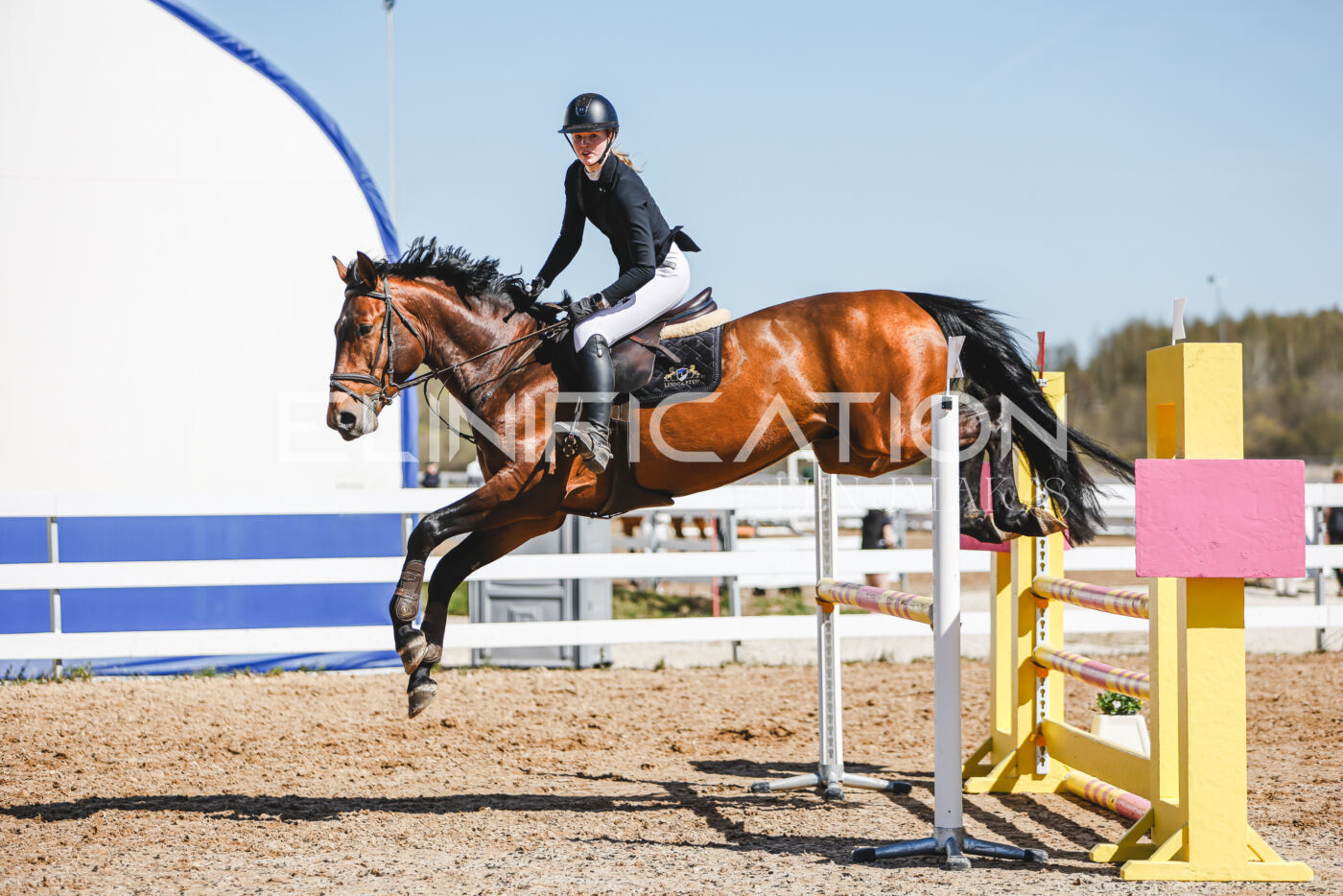 Gramina_Volber_2026_100_0731