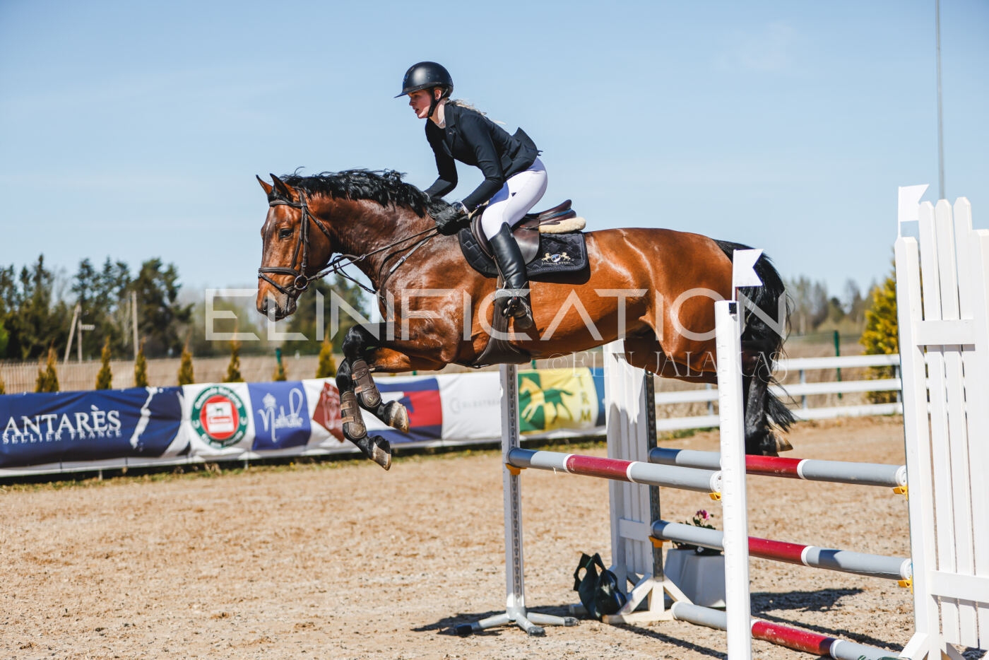 Gramina_Volber_2026_100_0739