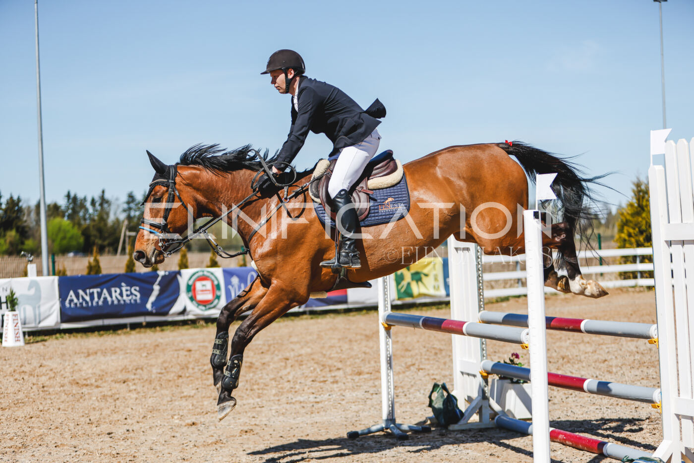 Gramina_Volber_2026_100_0777