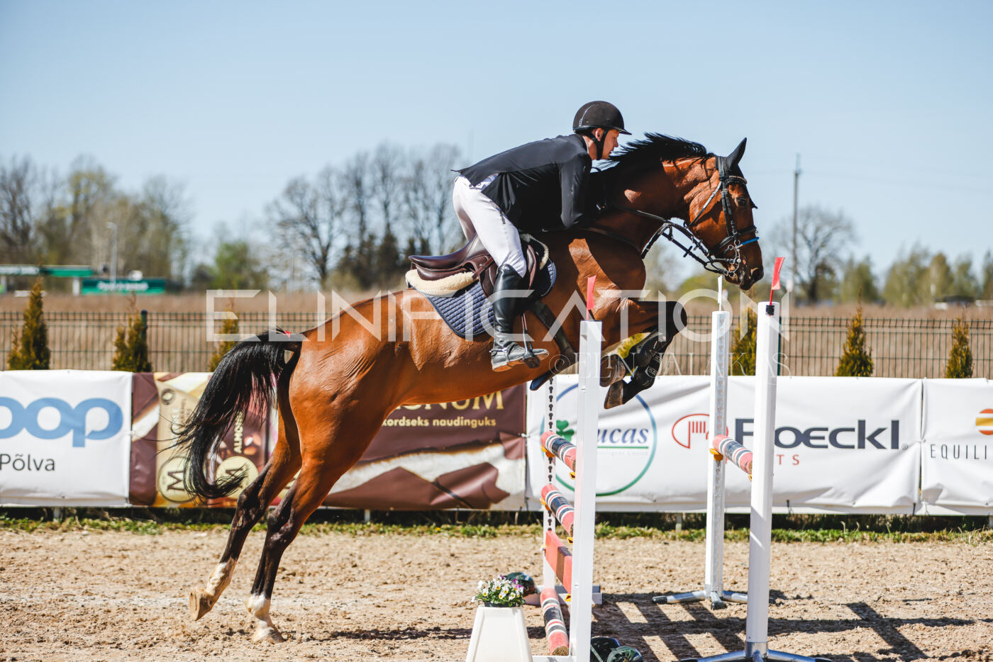Gramina_Volber_2026_100_0780