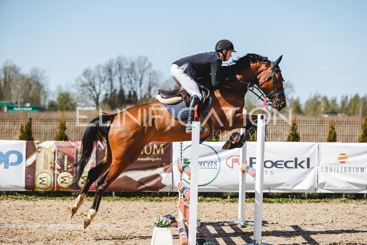 Gramina_Volber_2026_100_0781