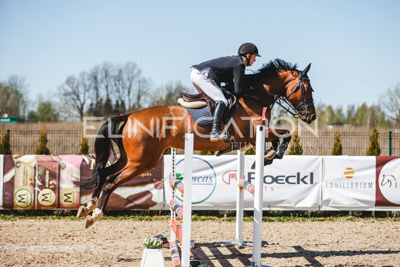Gramina_Volber_2026_100_0782
