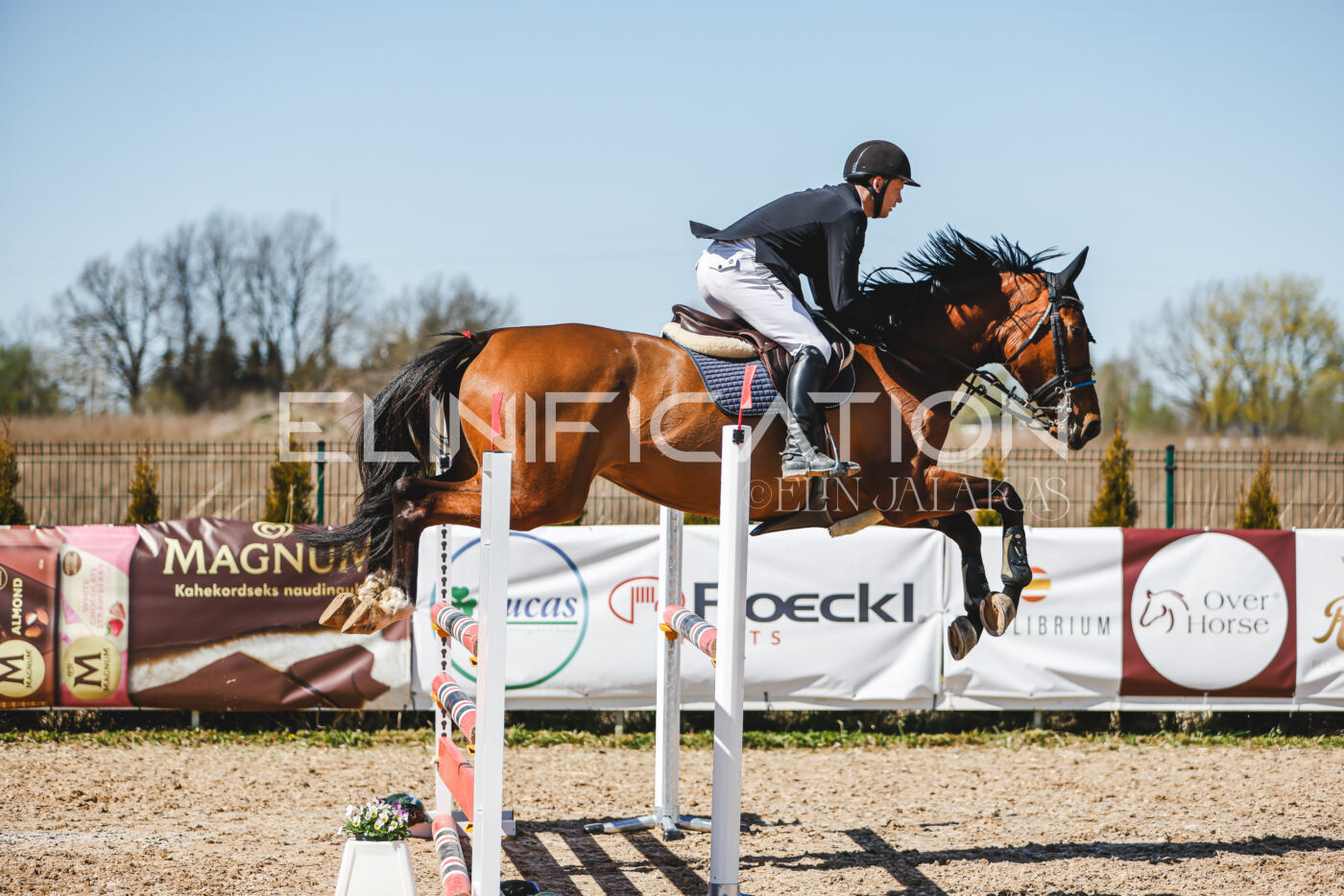 Gramina_Volber_2026_100_0784