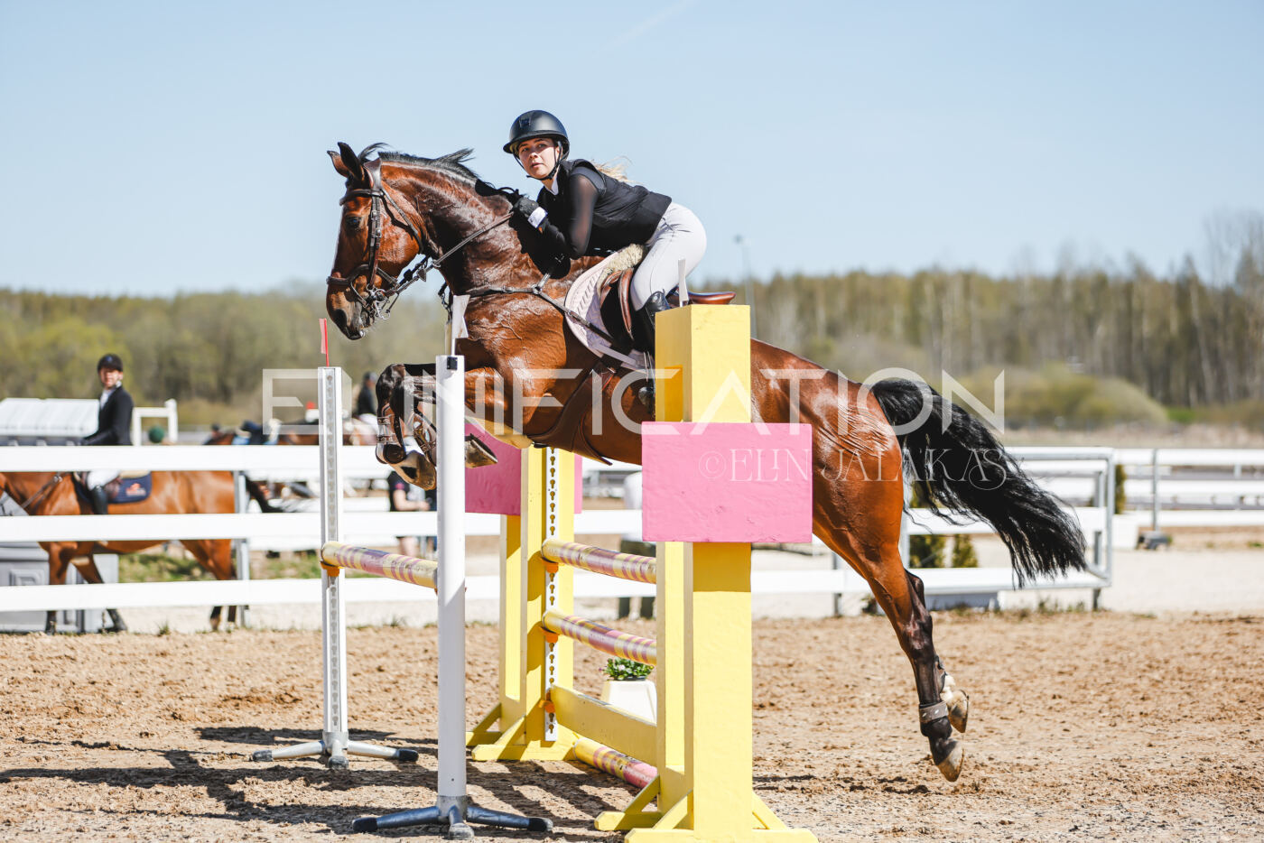 Gramina_Volber_2026_100_0791