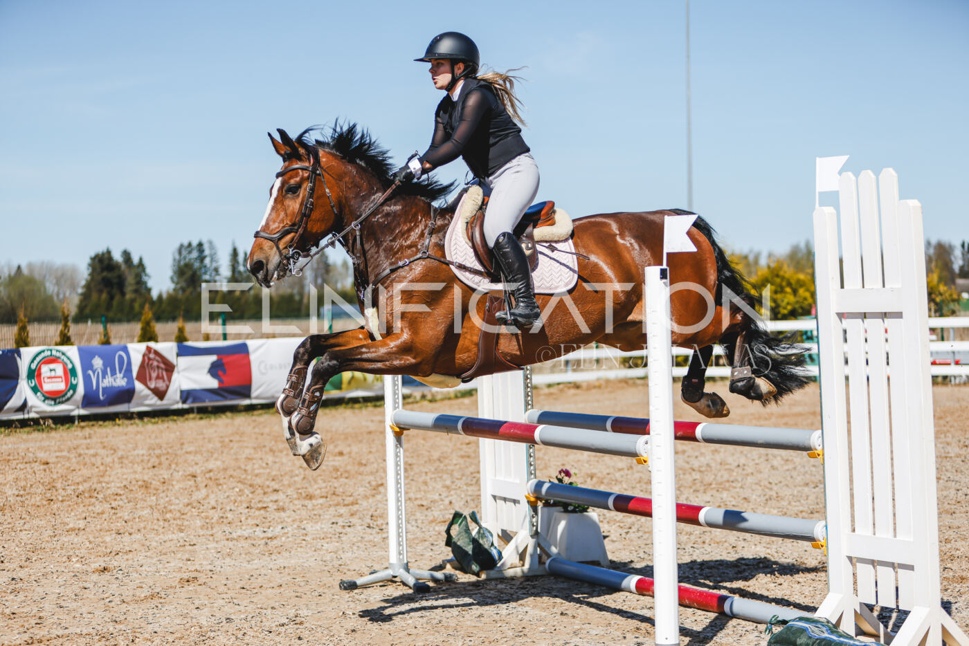 Gramina_Volber_2026_100_0812