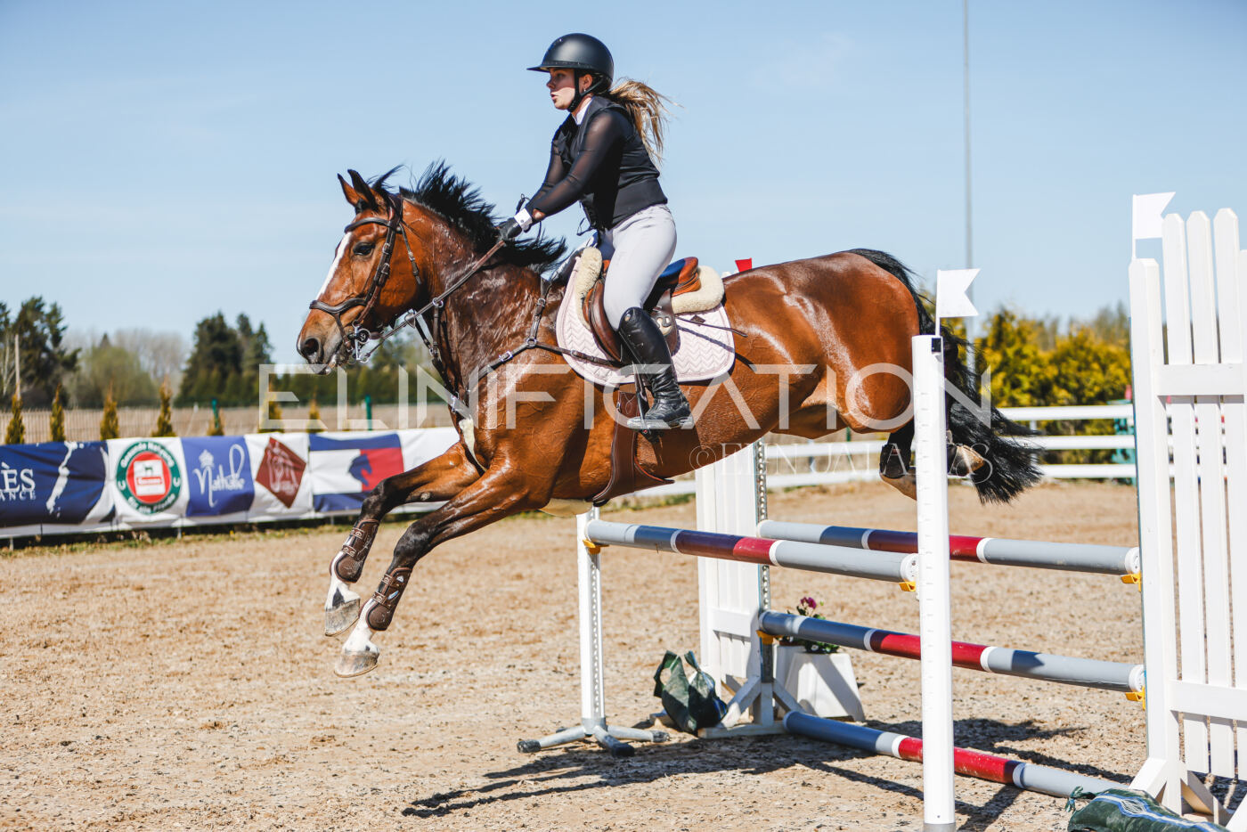 Gramina_Volber_2026_100_0813