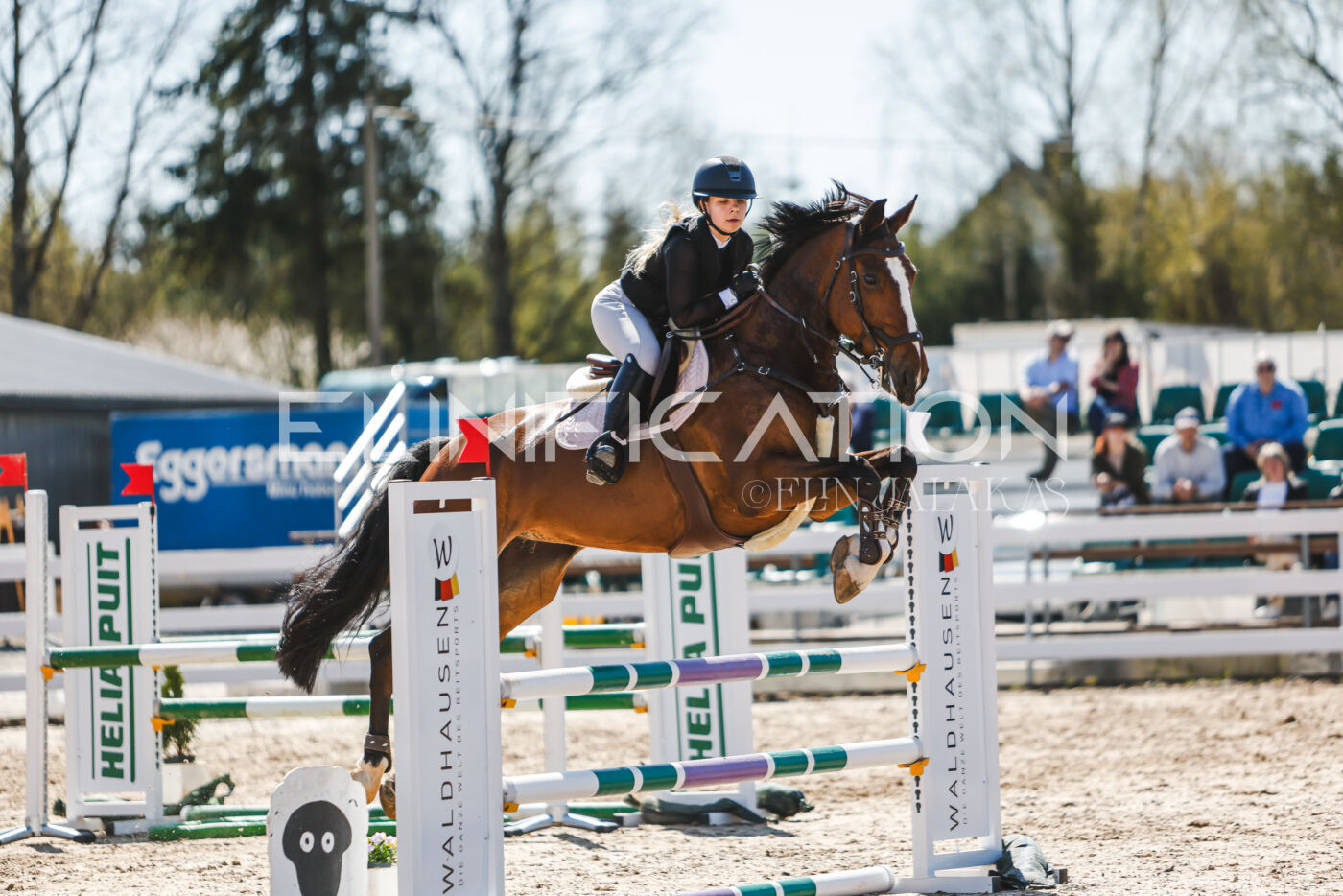 Gramina_Volber_2026_100_0815