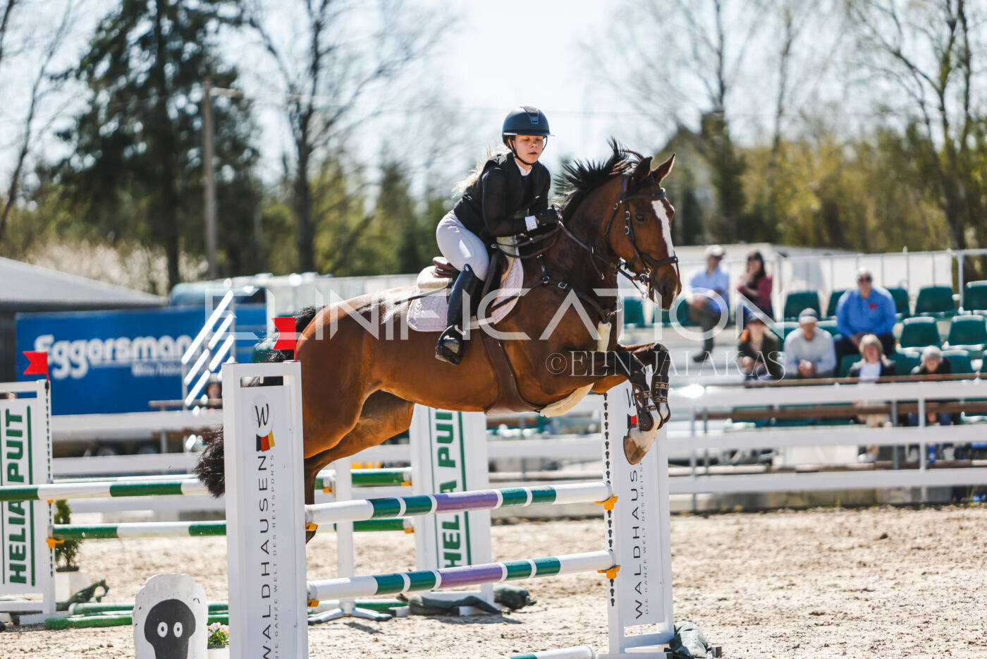 Gramina_Volber_2026_100_0816