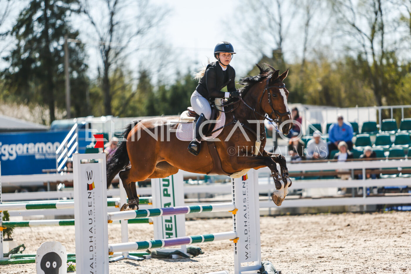 Gramina_Volber_2026_100_0817