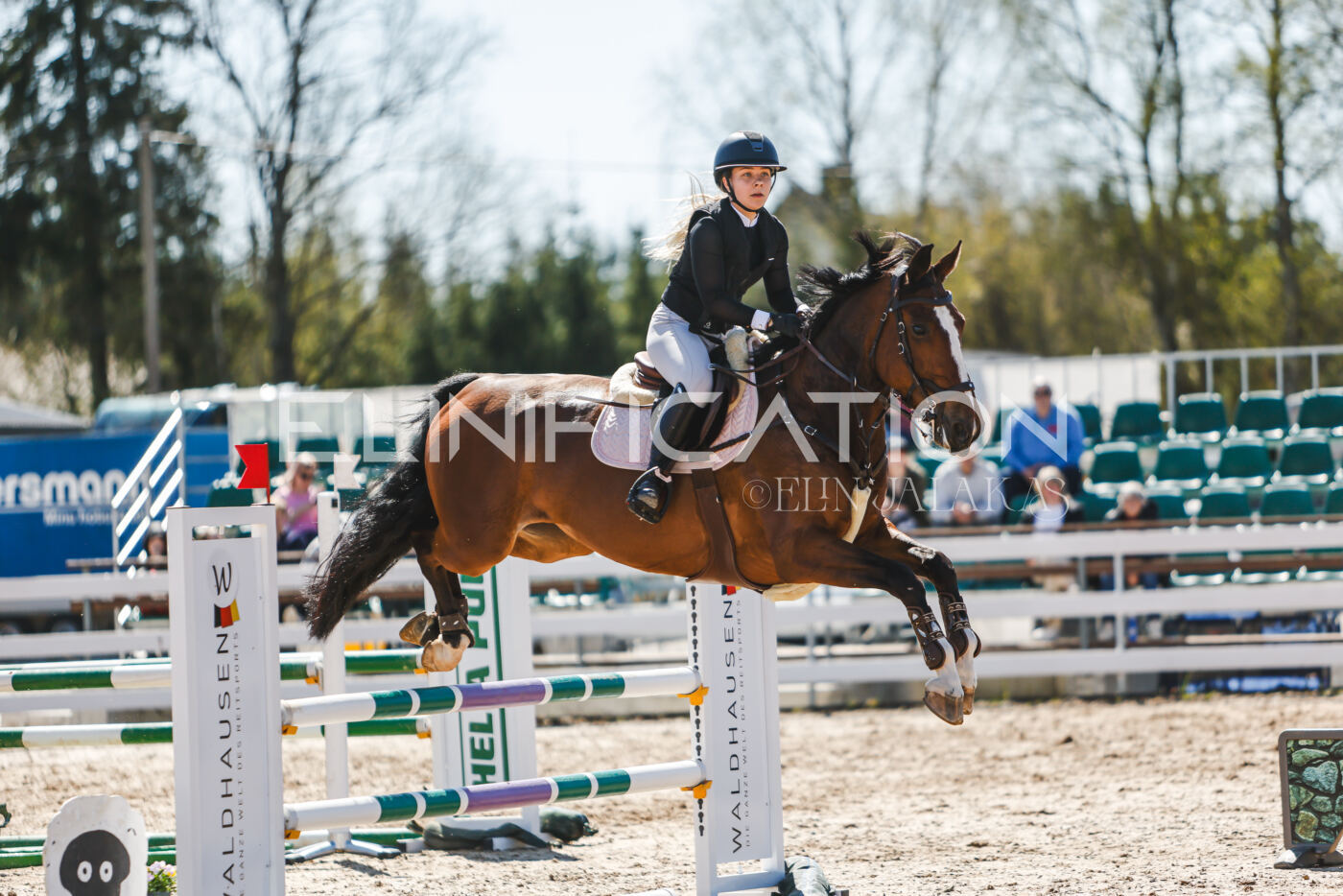 Gramina_Volber_2026_100_0818