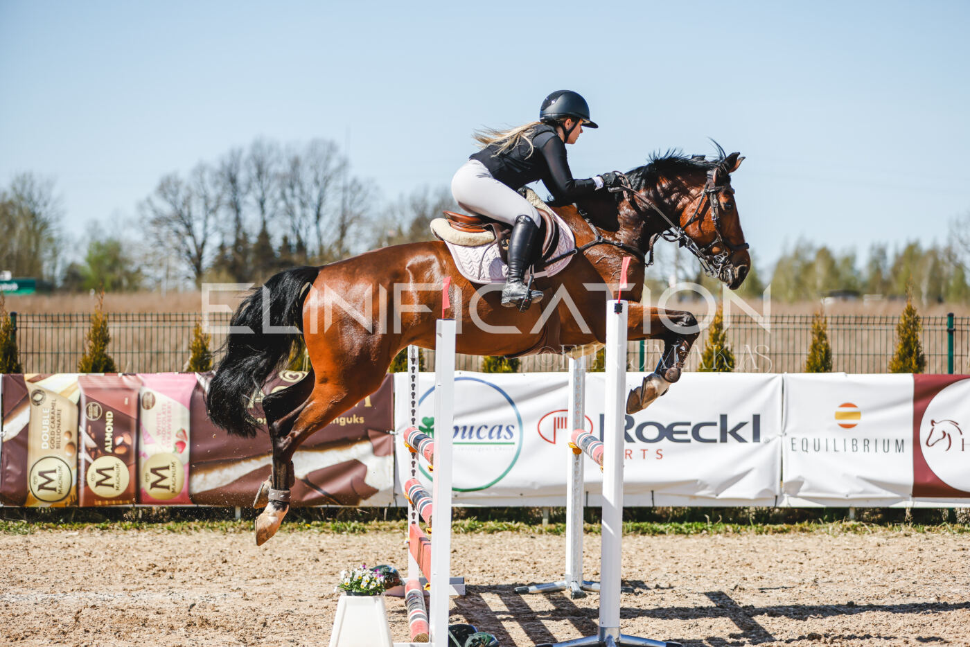 Gramina_Volber_2026_100_0821