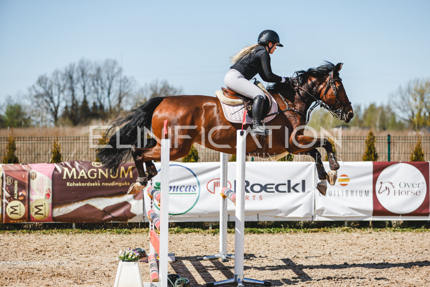 Gramina_Volber_2026_100_0823