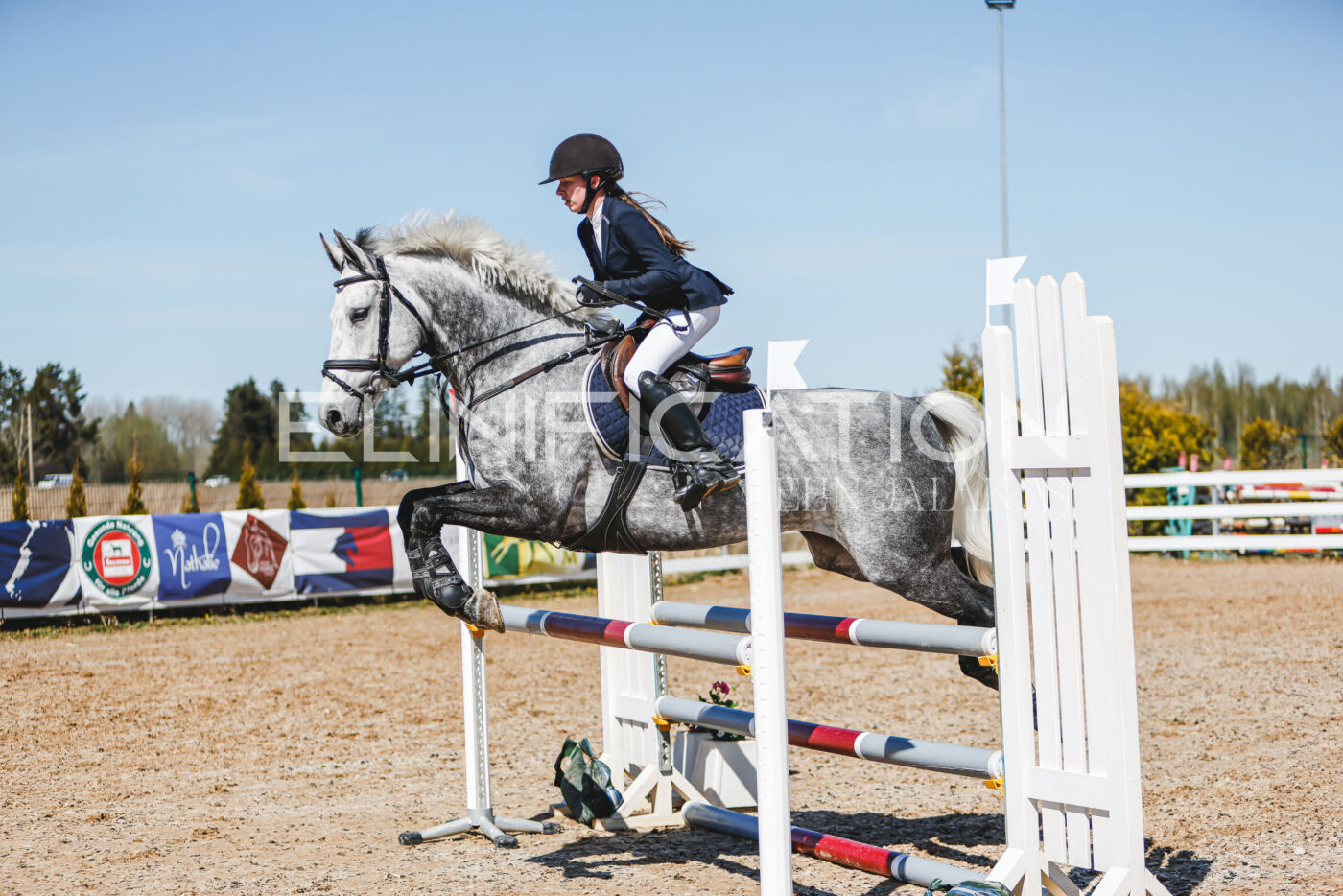 Gramina_Volber_2026_100_0849