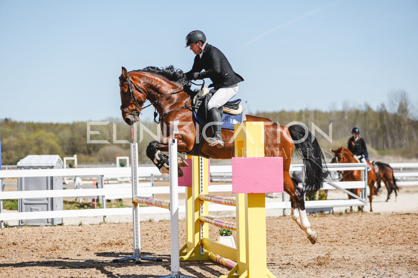 Gramina_Volber_2026_100_0865