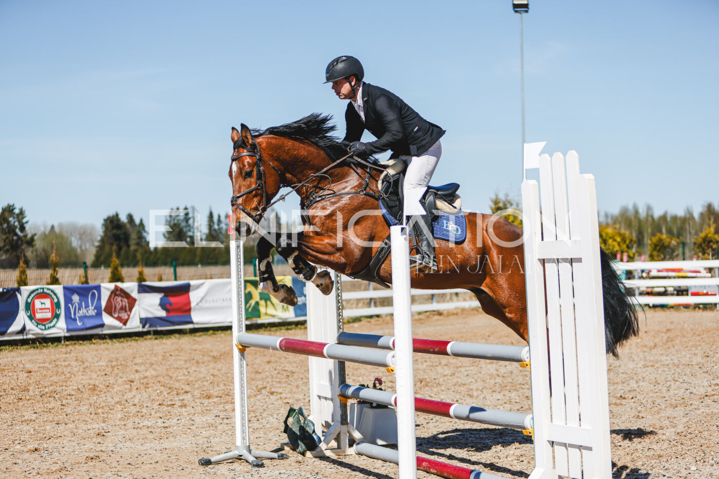 Gramina_Volber_2026_100_0877
