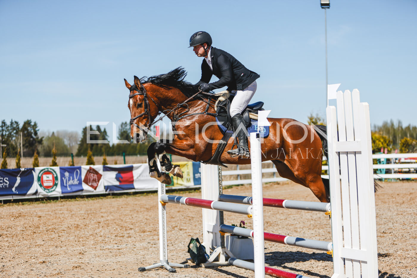 Gramina_Volber_2026_100_0878