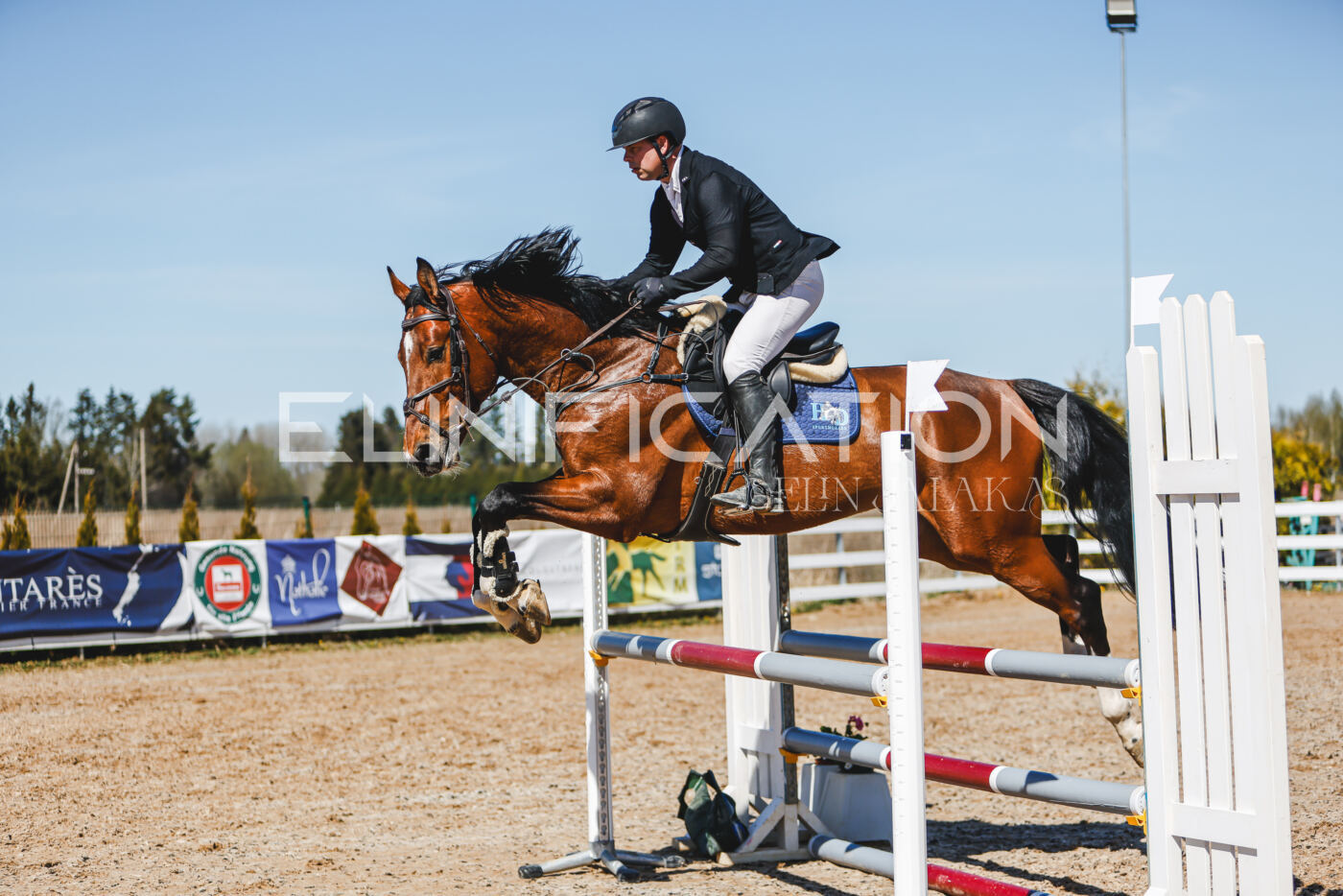 Gramina_Volber_2026_100_0879